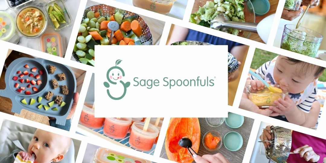Sage Spoonfuls Baby Food Processor and Immersion Blender - 1 Baby