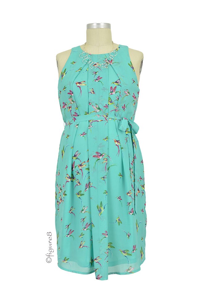Spring Carmene Bird Print Nursing Dress (Mint Print)